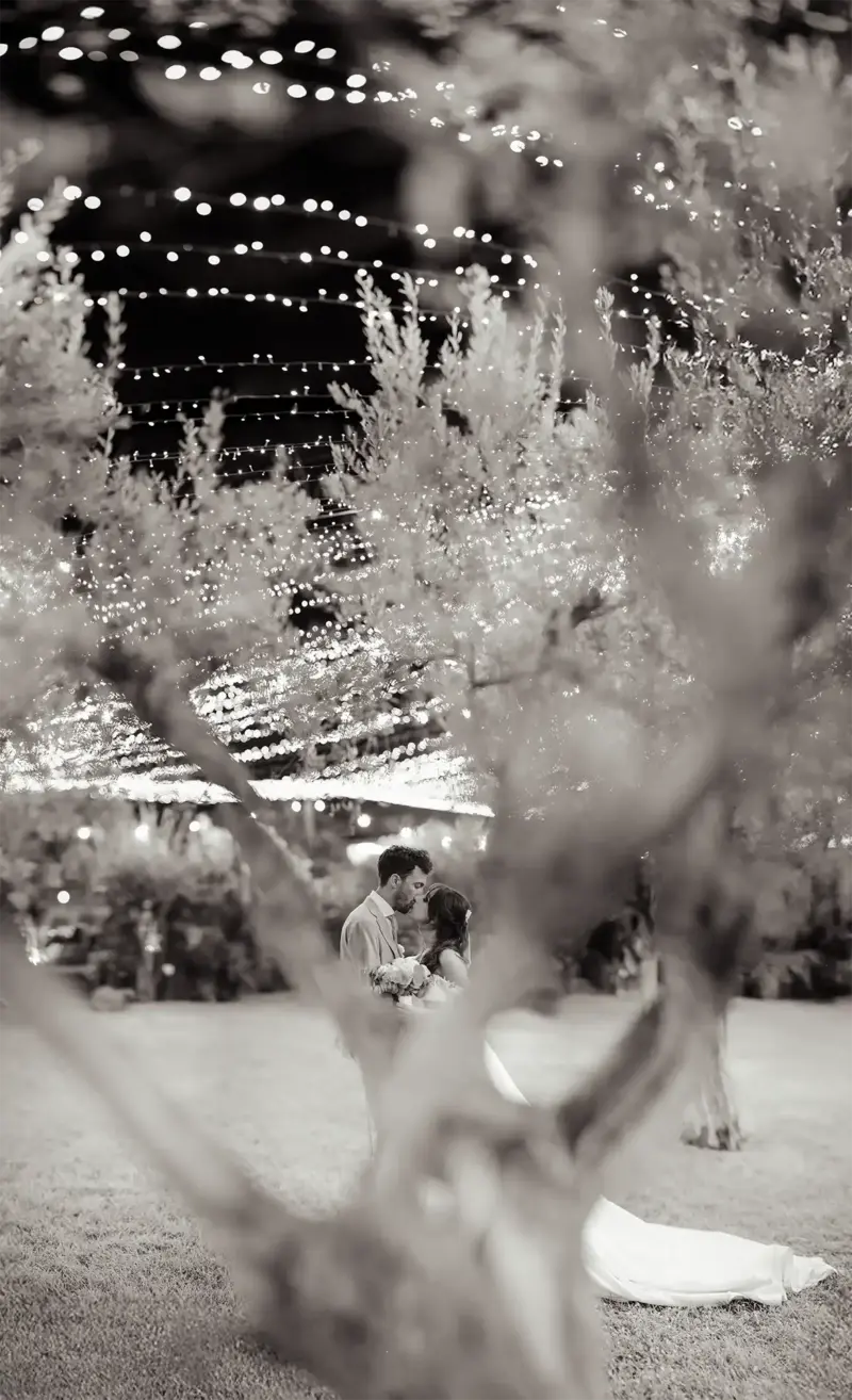 Romantischer Kuss auf Wiese mit Olivenbäumen und Lichterketten, Schwarz-Weiß